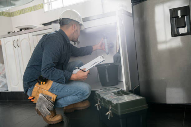 Best Leak Detection Services  in Wyoming, IL