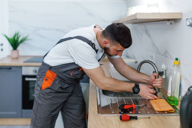 Best Commercial Plumbing Services  in Wyoming, IL