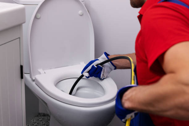 Best Clogged Drain Plumber  in Wyoming, IL